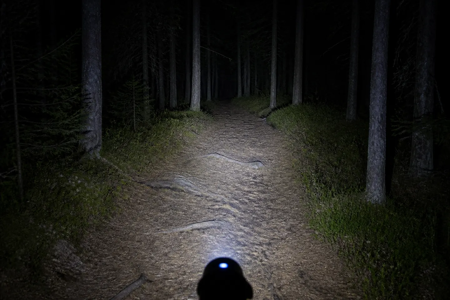 Två olika ljusbilder från pannlampor på en mörk stig.